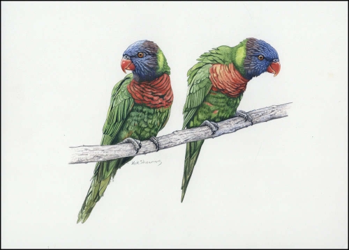 2011, Vanuatu, (1444) Original