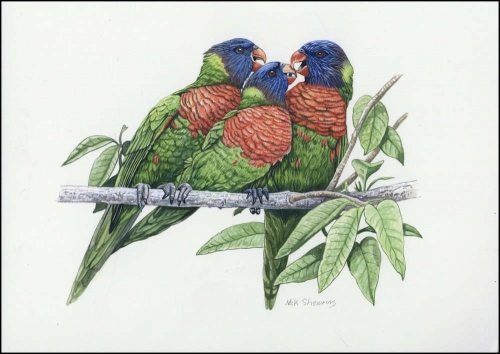 2011, Vanuatu, (1445) Original