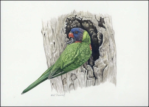 2011, Vanuatu, (1446) Original