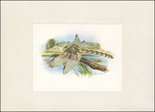 2010, Weissrussland, (827) Original