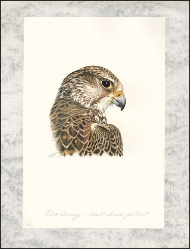 2009, Kirgisien, (579) Original