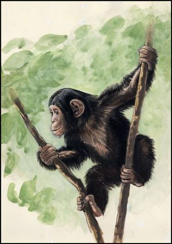 1983, Sierra Leone, (715) Original