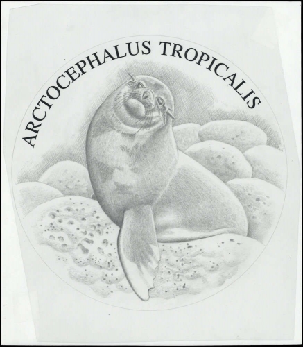 2004, Tristan da Cunha, Original Münze