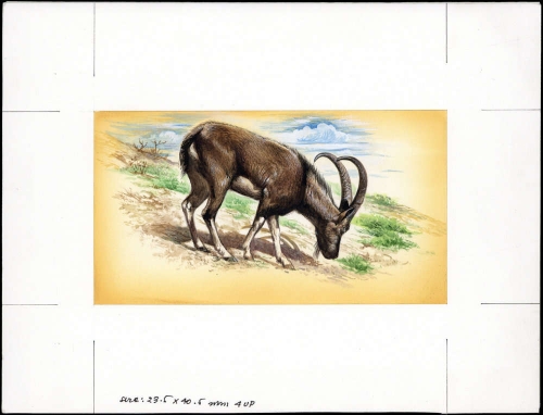 1996, Armenien, (301) Original