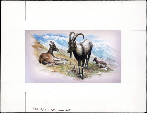 1996, Armenien, (301) Original