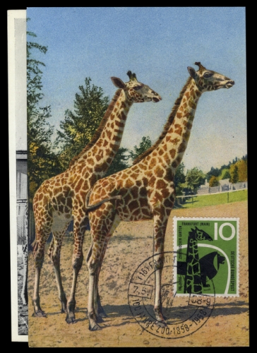 Tiere,Säugetiere,allgemein, Brief