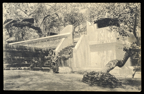 Ceylon, Brief