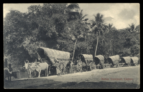 Ceylon, Brief