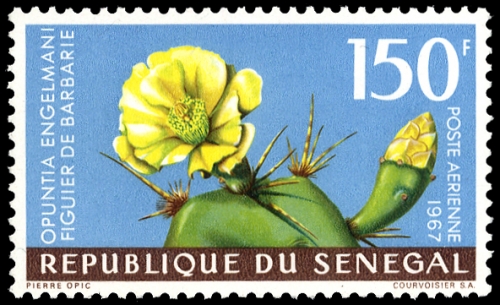 1964, Senegal, 288-89 u.a., **