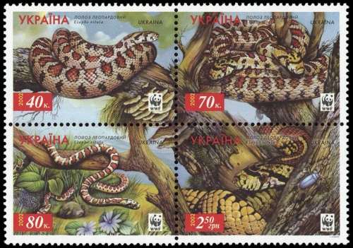 2002, Ukraine, 502-05, **