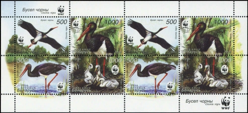 2005, Weissrussland, 597-00 KB ZD, **