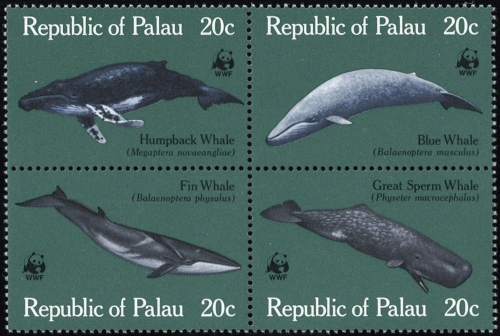 1983, Palau Inseln, 20-23, **