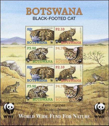 2005, Botswana, 817-20 KB ZD, **