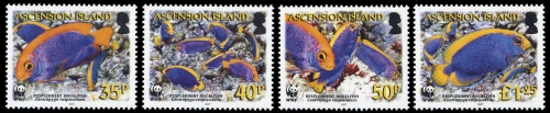 2007, Ascension, 989-92, **