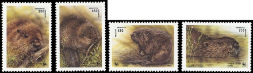 1995, Weissrussland, 96-99, **