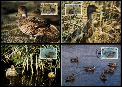 1992, Falkland Abhängige Gebiete B Süd-Georgien, 203-06 MK