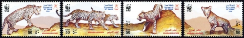 2004, Oman, 590-93, **