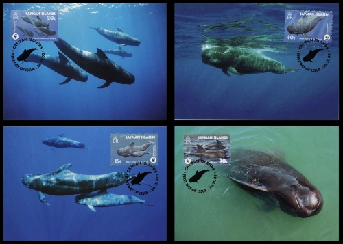 2003, Kaiman-Inseln, 970-73 MK