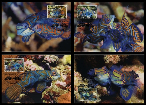 2009, Mikronesien, 2052-55 MK