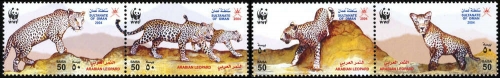 2004, Oman, 590-93, **