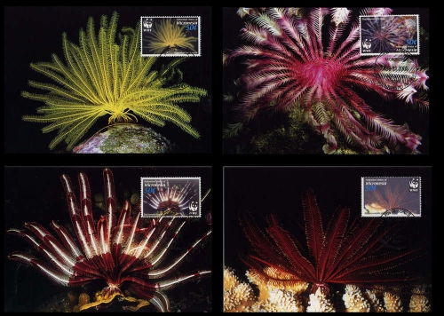 2005, Mikronesien, 1674-77 MK