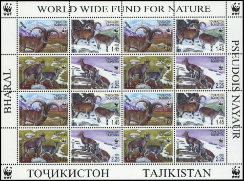 2005, Tadschikistan, 392-95 KB ZD, **