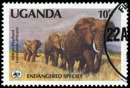 1988, Uganda, A 601, gest.