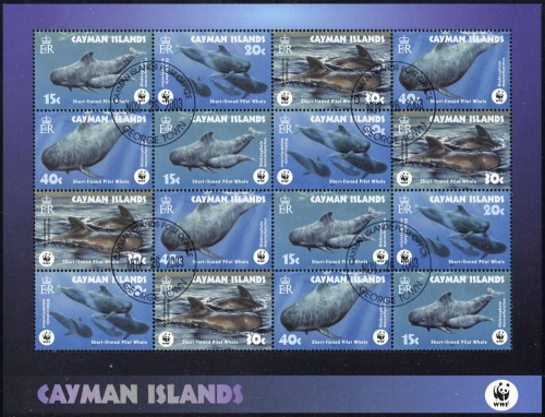 2003, Kaiman-Inseln, 970-73 KB ZD, gest.