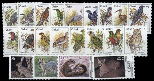 1981, Ciskei, 5-21 u.a., **