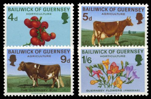 1970, Guernsey, 31-34, **