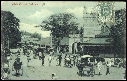 Ceylon, 145, Brief