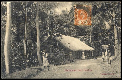 Ceylon, 166, Brief