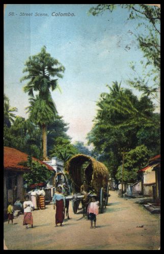 Ceylon, 150, Brief