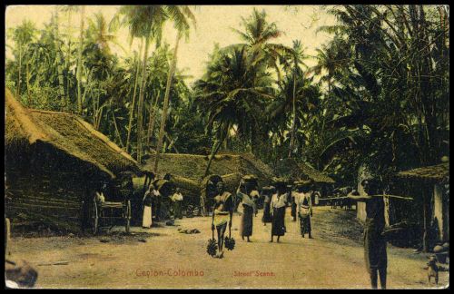 Ceylon, 149, Brief
