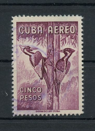 1962, Tiere,Vögel,allgemein, 770, gest.