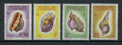1962, Tiere,Meerestiere,Muscheln, 42-44,47, **