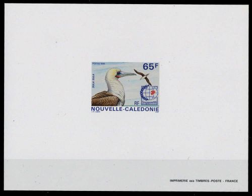 Tiere,Vögel,allgemein, 1049 SB, **