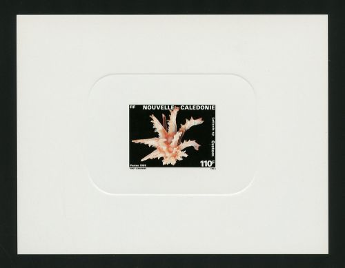 1989, Tiere,Meerestiere,allgemein, 851 edl