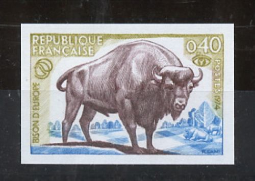 1974, Tiere,Säugetiere,allgemein, 1874 U, **