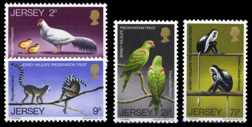 1971, Jersey, 49-52, **