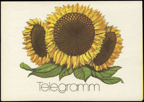 1984, DDR