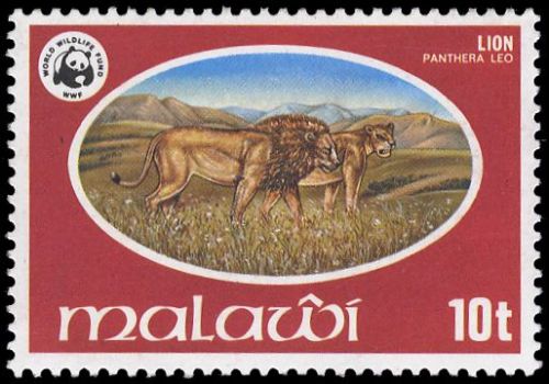 1978, Malawi, 297-300, **