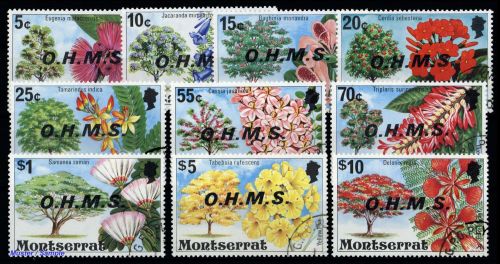 1976, Montserrat, D 7-16, gest.