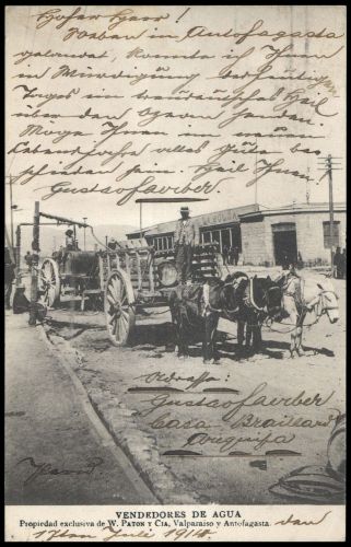 Chile, 100, Brief