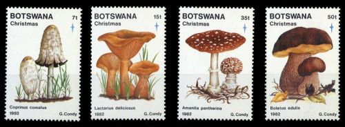 1982, Botswana, 317-20, **