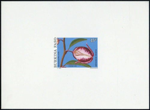 1991, Burkina Faso, 1253 edl