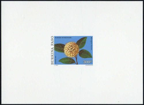 1991, Burkina Faso, 1256 edl