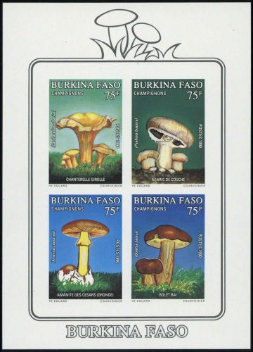 1990, Burkina Faso, Bl.134 edl
