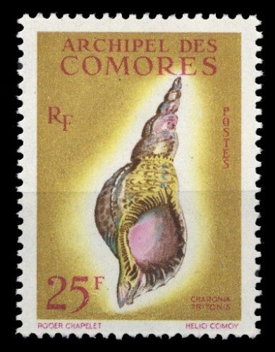 1962, Komoren, 47, **