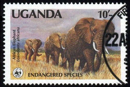 Uganda, A 601 (500), gest.